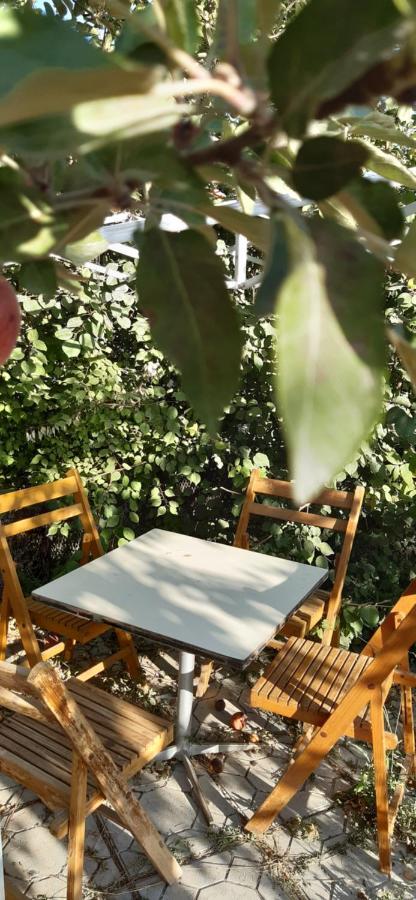 Guesthouse Kishimzhan Talas Buitenkant foto
